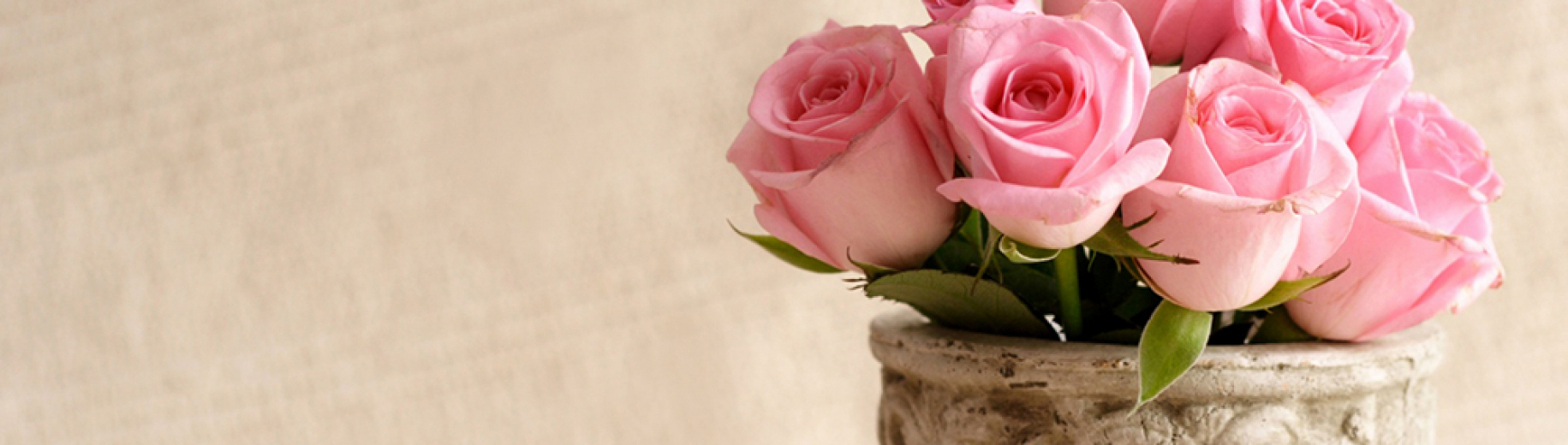 gallery/_pic6